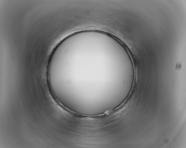 X0000094431500200711291521