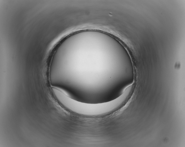 X0000094431502200711291521