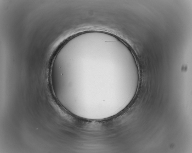 X0000094431503200711291521