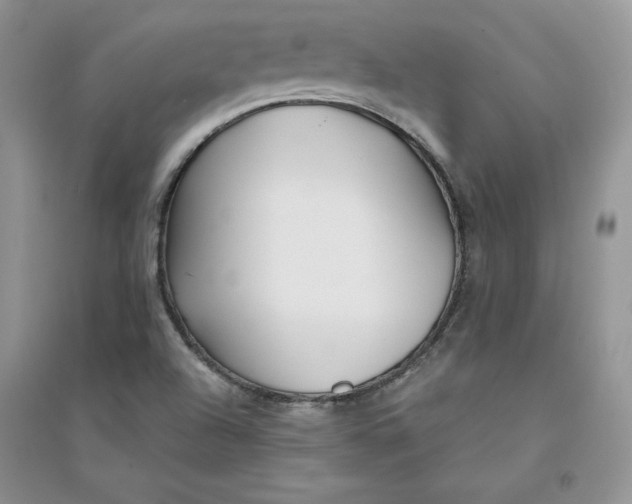 X0000094431504200711291521