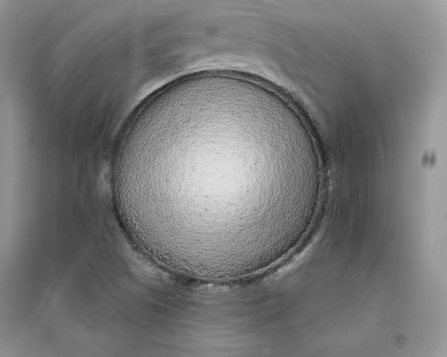 X0000094431505200711291521