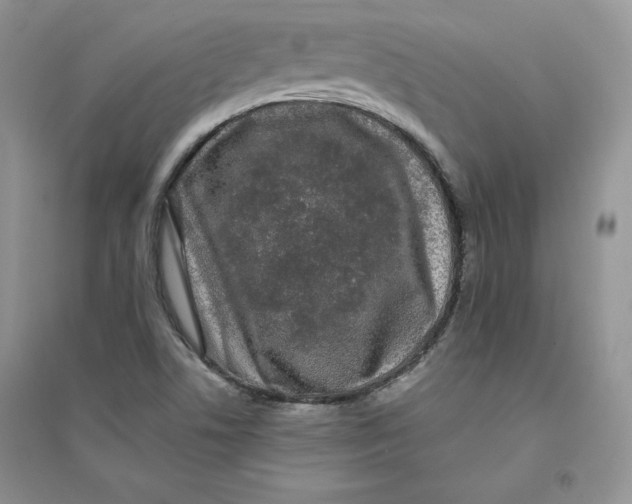 X0000094431506200711291521