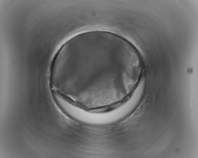 X0000094431508200711291521