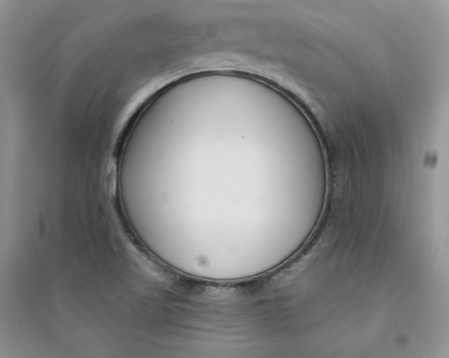 X0000094431509200711291521