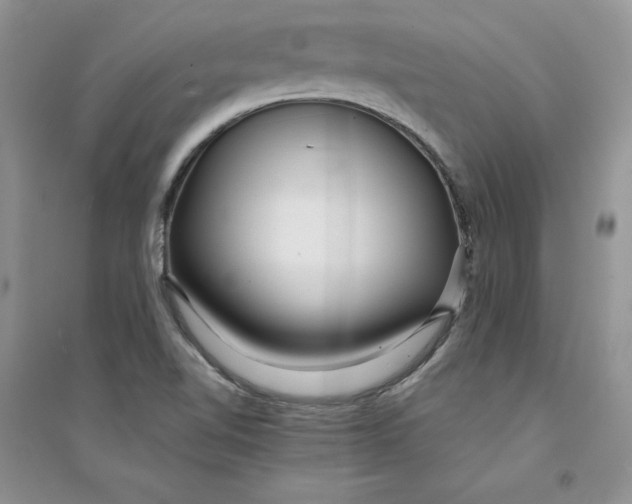 X0000094431510200711291521