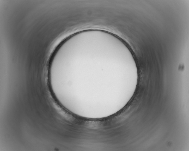 X0000094431511200711291521