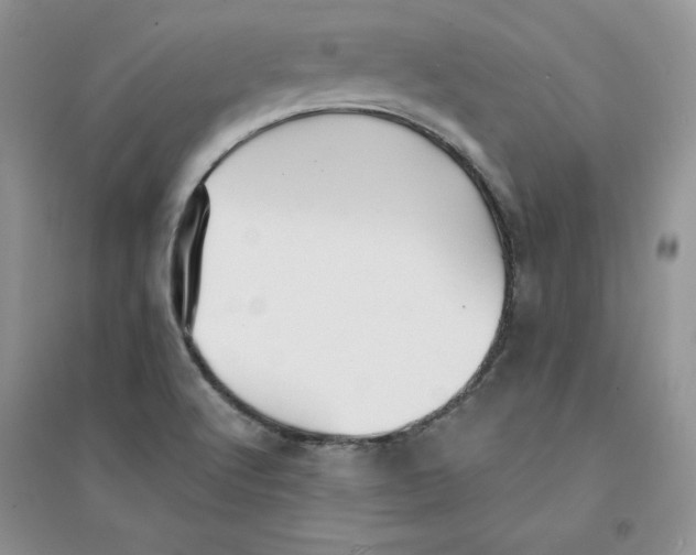 X0000094431512200711291521