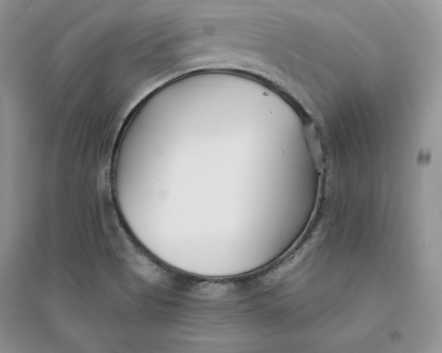 X0000094431513200711291521