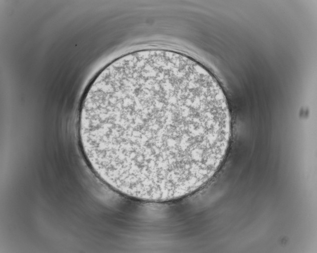 X0000094431514200711291521