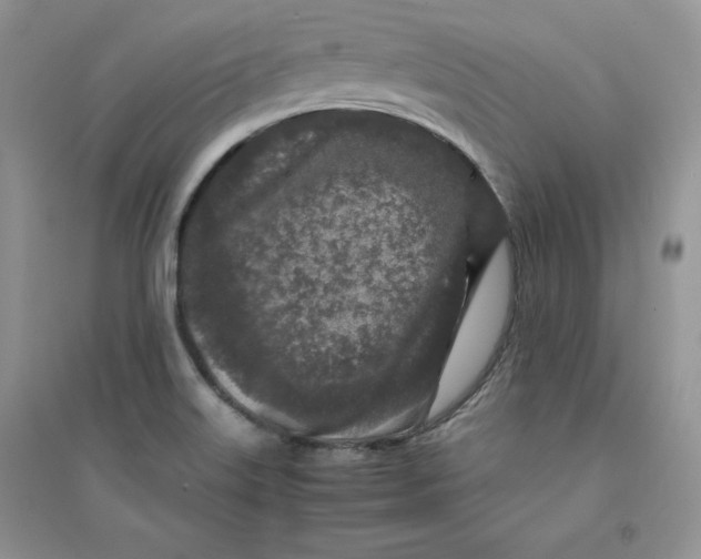 X0000094431515200711291521