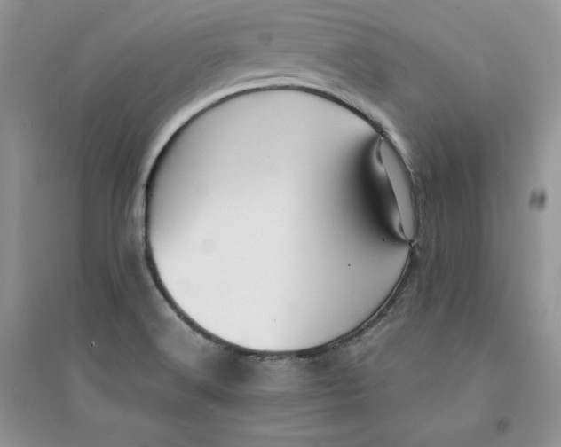 X0000094431516200711291521