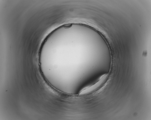 X0000094431517200711291521