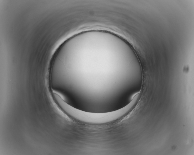 X0000094431518200711291521