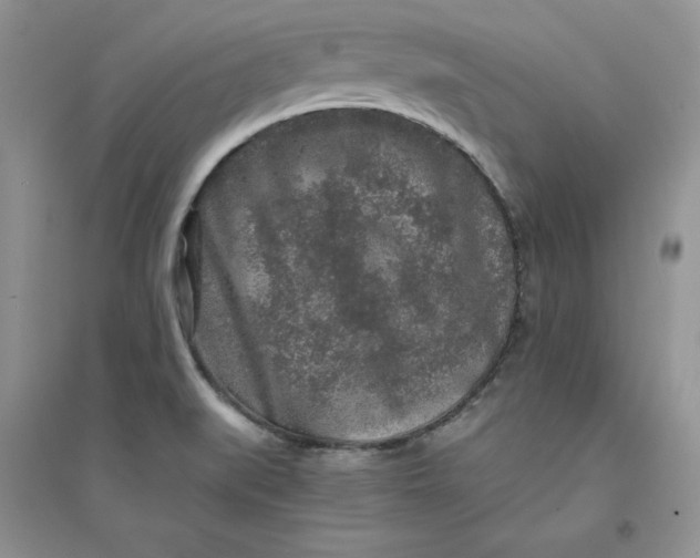 X0000094431519200711291521