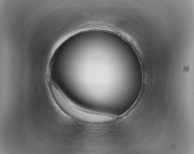 X0000094431520200711291521