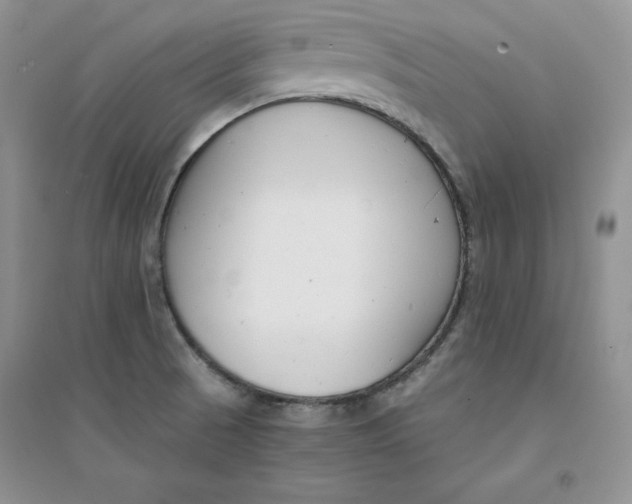 X0000094431521200711291521