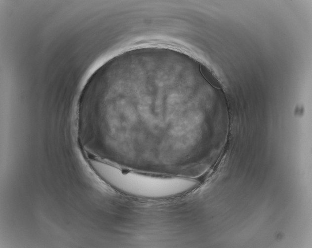 X0000094431522200711291521