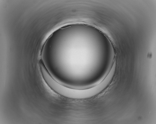 X0000094431524200711291521