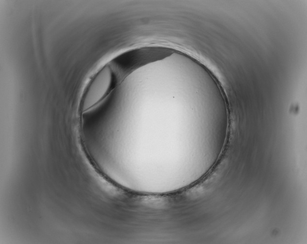 X0000094431525200711291521