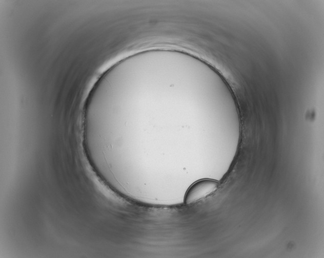 X0000094431526200711291521