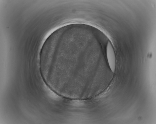 X0000094431527200711291521