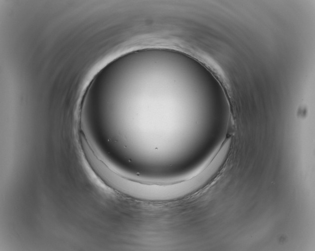 X0000094431528200711291521