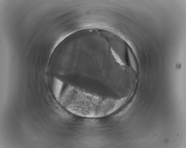 X0000094431529200711291521