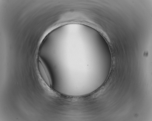 X0000094431530200711291521