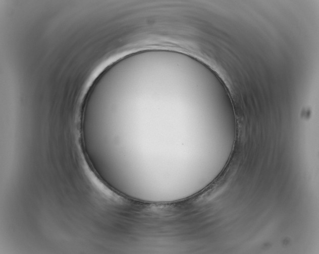 X0000094431531200711291521