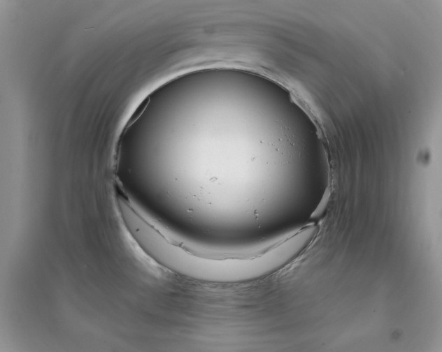 X0000094431532200711291521