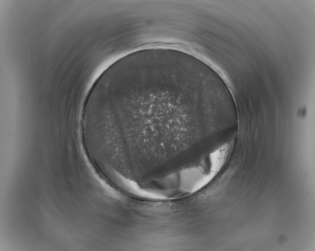 X0000094431533200711291521