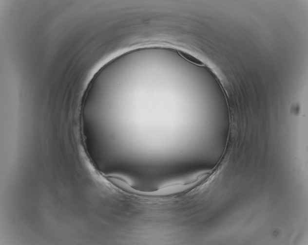 X0000094431534200711291521