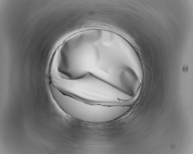 X0000094431536200711291521