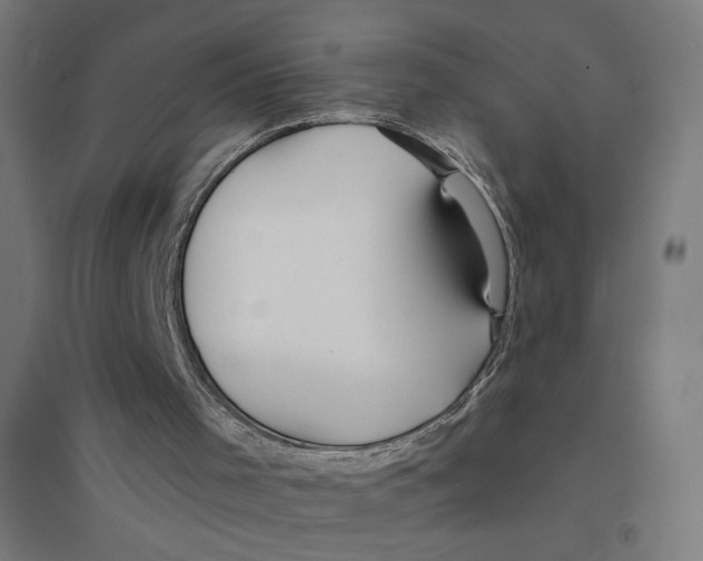 X0000094430001200712061124