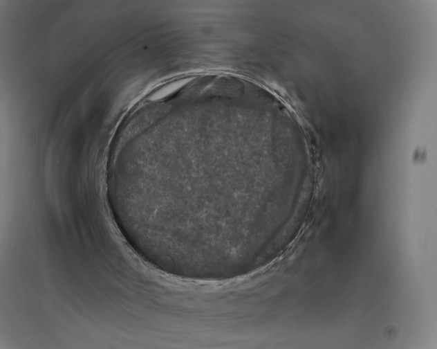 X0000094430002200712061124