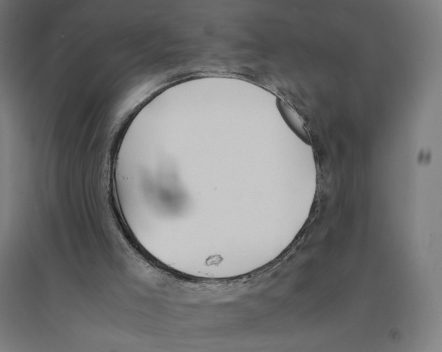 X0000094430005200712061124