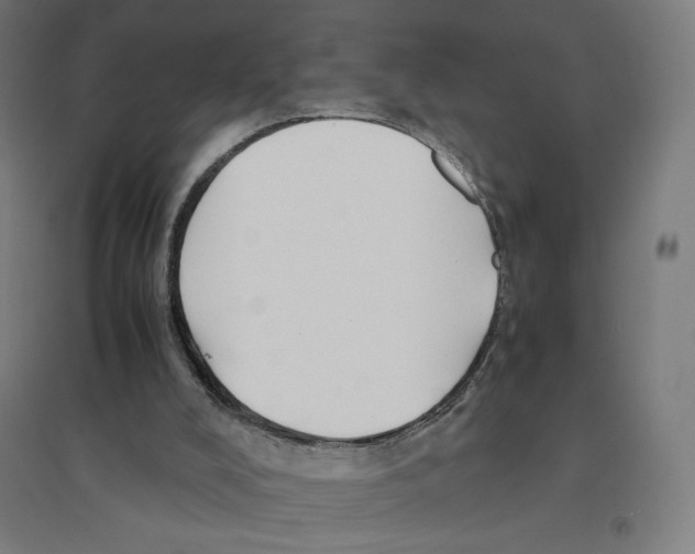 X0000094430008200712061124