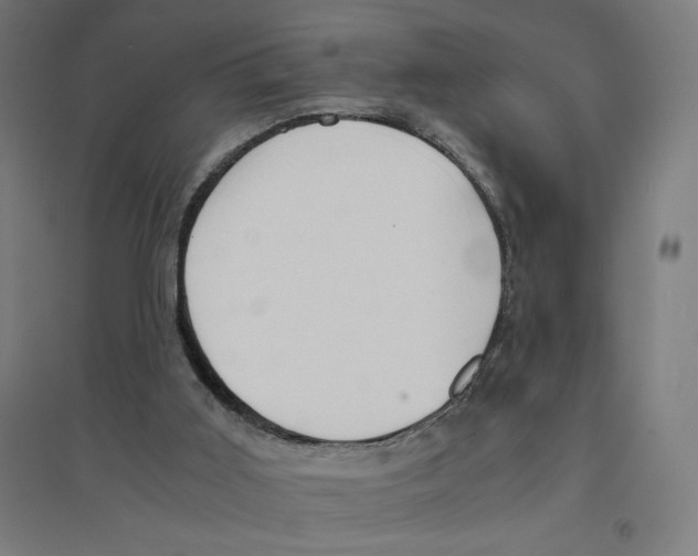 X0000094430011200712061124