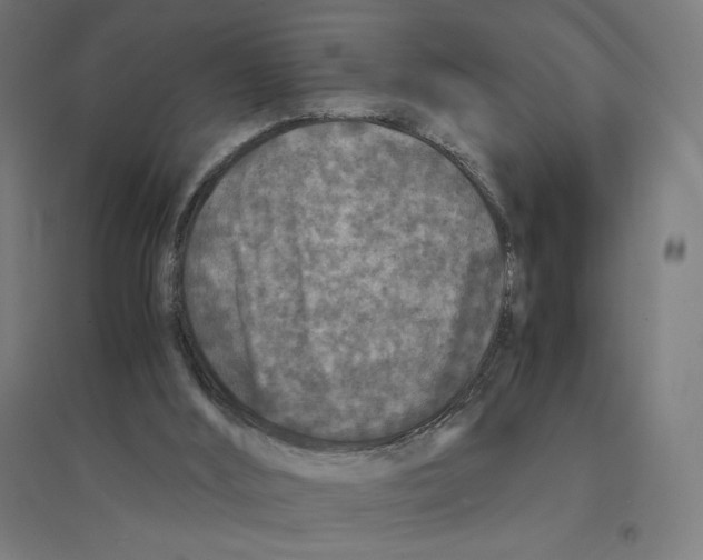 X0000094430012200712061124