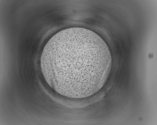 X0000094430016200712061124