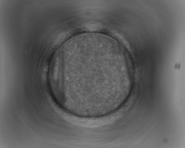 X0000094430018200712061124