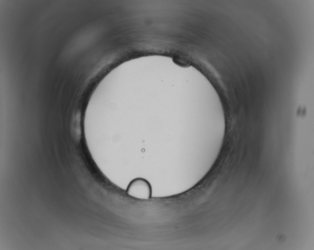 X0000094430020200712061124