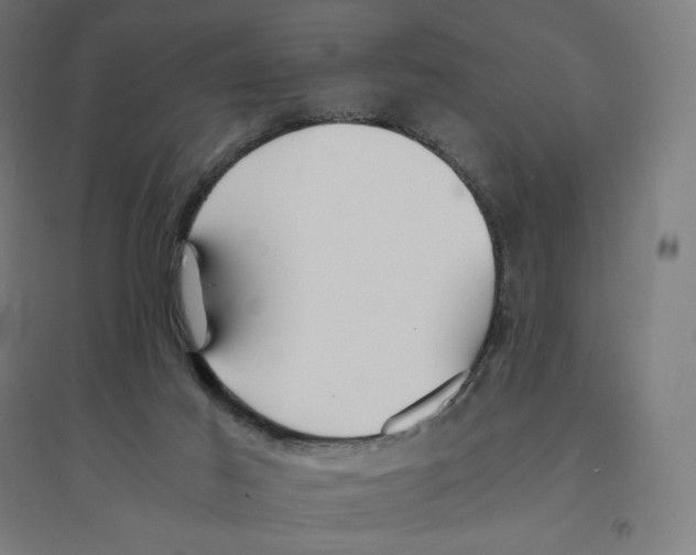 X0000094430021200712061124