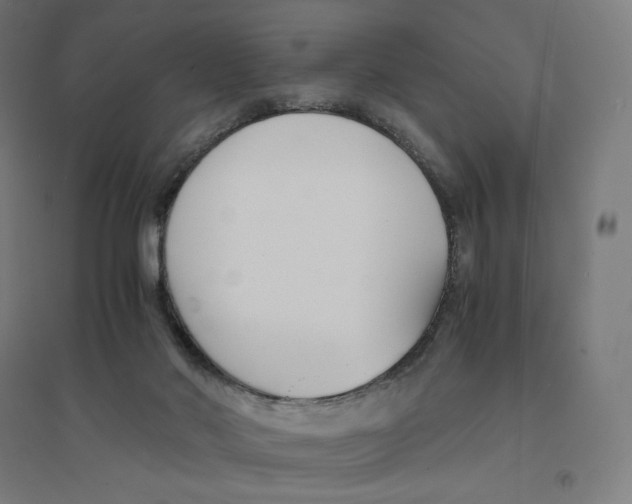 X0000094430022200712061124