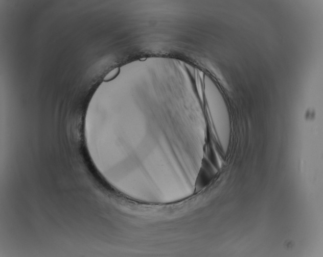 X0000094430023200712061124