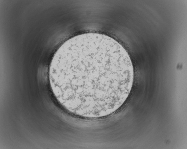 X0000094430024200712061124