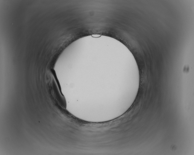 X0000094430025200712061124