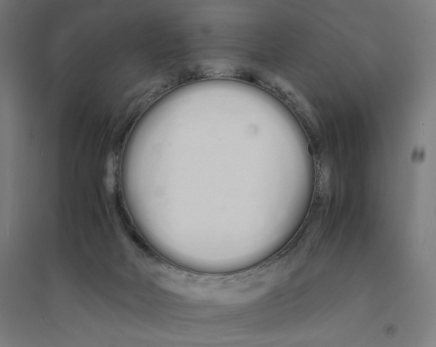 X0000094430026200712061124