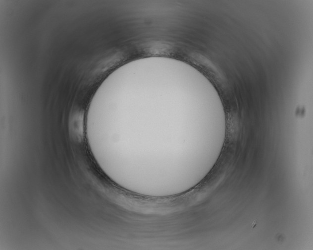 X0000094430028200712061124