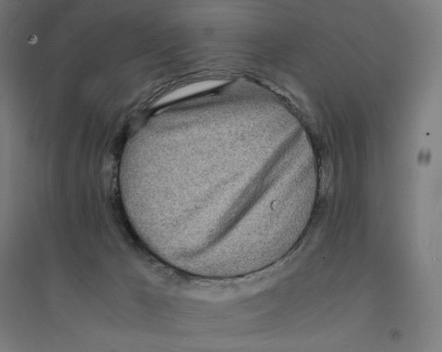 X0000094430029200712061124